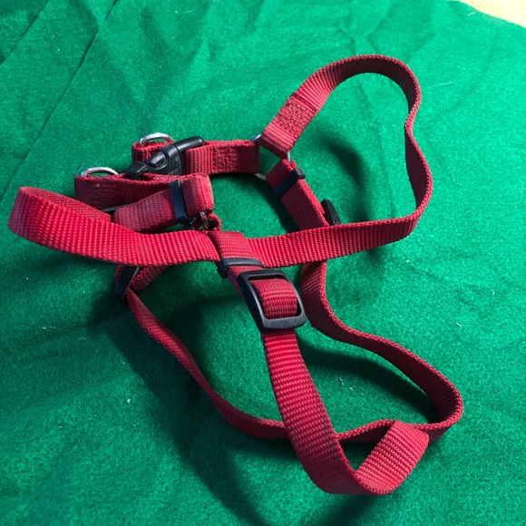 Dog harness - Picture 2 of 2